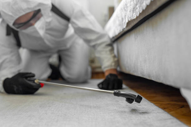 Professional Bed Bug Control technician working in Abingdon, MD