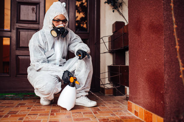 Reliable Bed Bug Control contractor in Abingdon, MD by Nex Pest Control